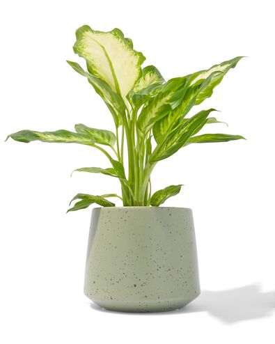 aardewerk bloempot met spikkels &Oslash;12.5x12.5