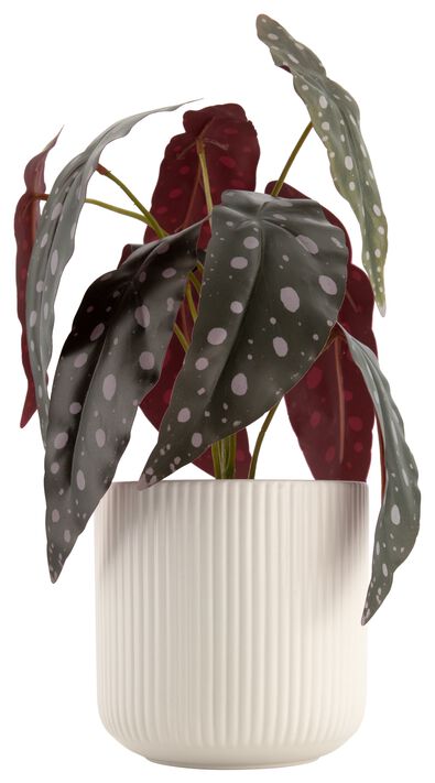 kunstplant begonia met stippen