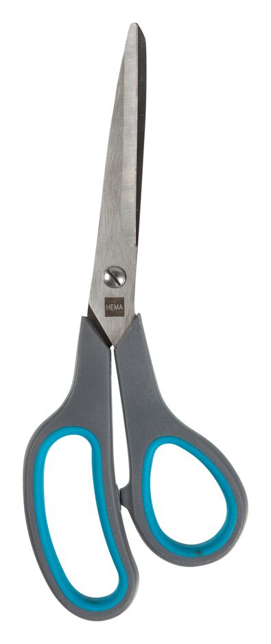rvs schaar