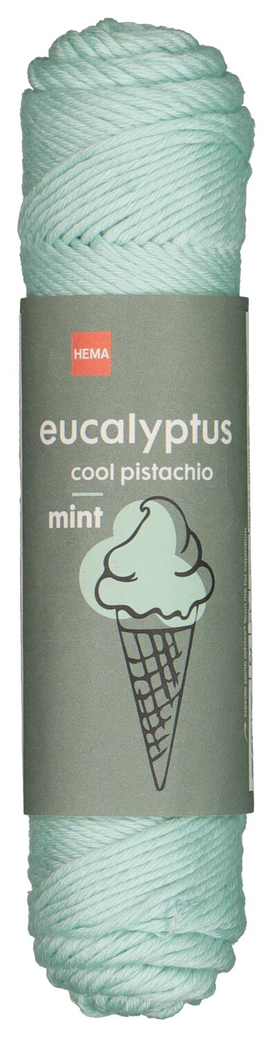 brei en haakgaren eucalyptus 50gr/83m mint