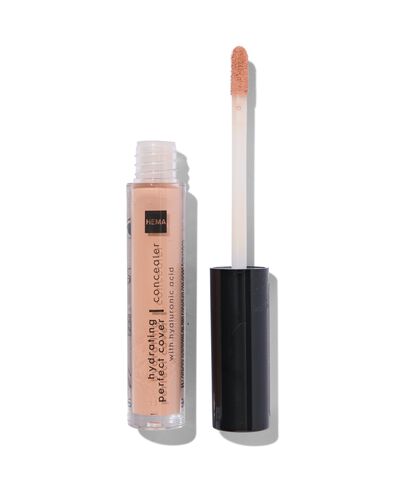 hydrating perfect concealer 02 honey