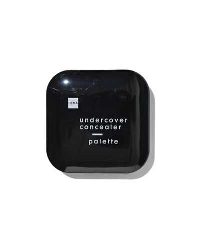 undercover concealer palette