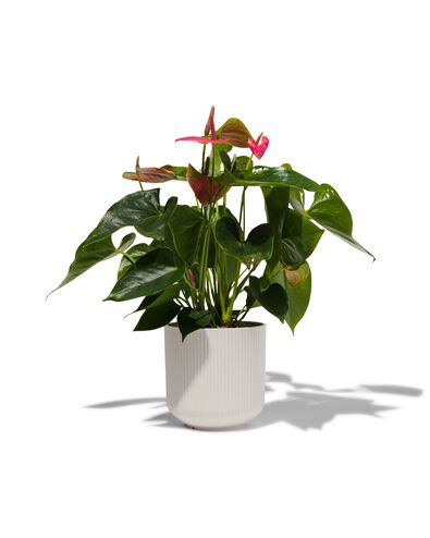 bloempot met ribbels &Oslash;13 cr&egrave;me