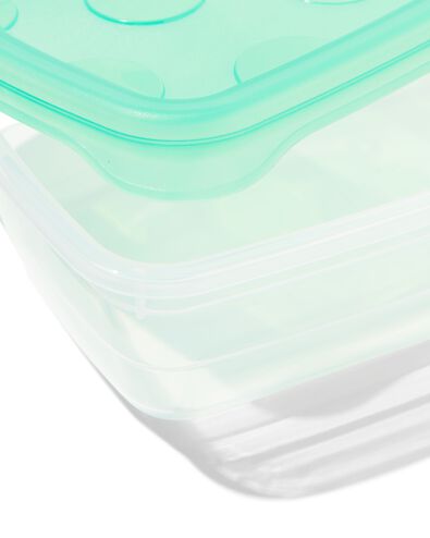 vershoudbakjes 300ml - 4 stuks