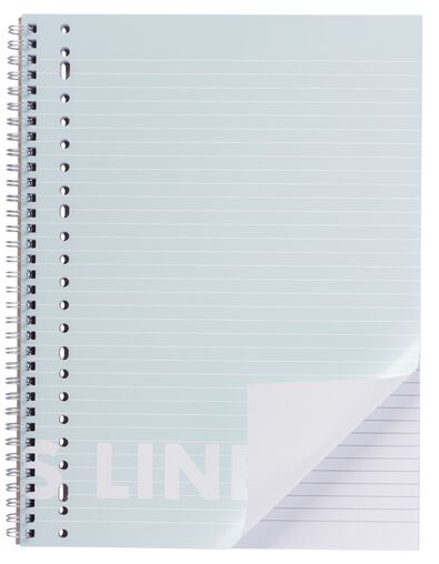 collegeblok mint A4 gelinieerd - 3 stuks