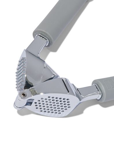 knoflookpers 20cm rvs