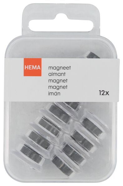 magneten 12 stuks