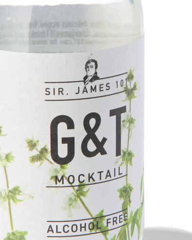 alcoholvrije G&T 250ml