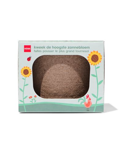 zonnebloemen kweekset