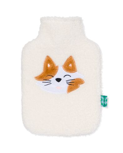 warmwaterkruik kat