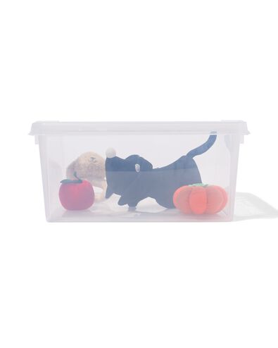 opbergbox 32L London transparant 50x39x26