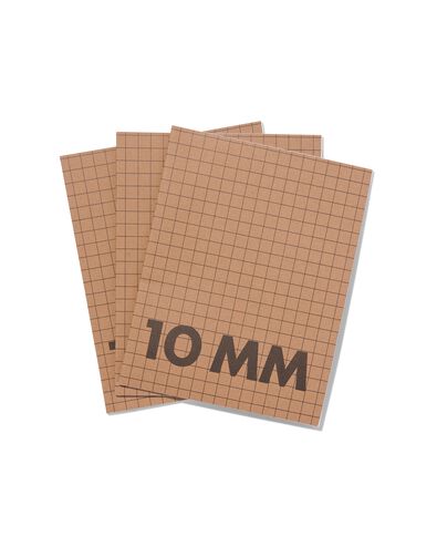 schriften A5 geruit 10 mm - 3 stuks