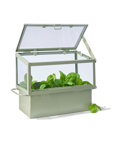 kweekkasje 11.5x23x17 groen metaal/glas