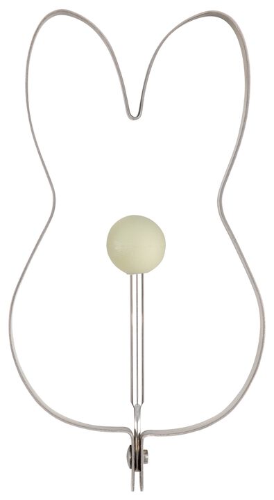 eierring paashaas 14x7.5x1.5