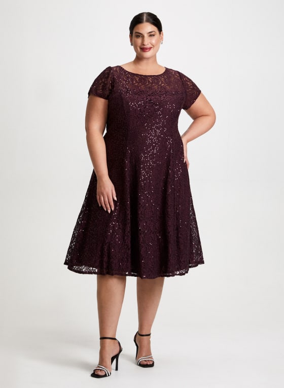 Sequin Embellished Lace Dress