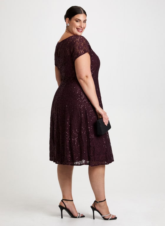 Sequin Embellished Lace Dress
