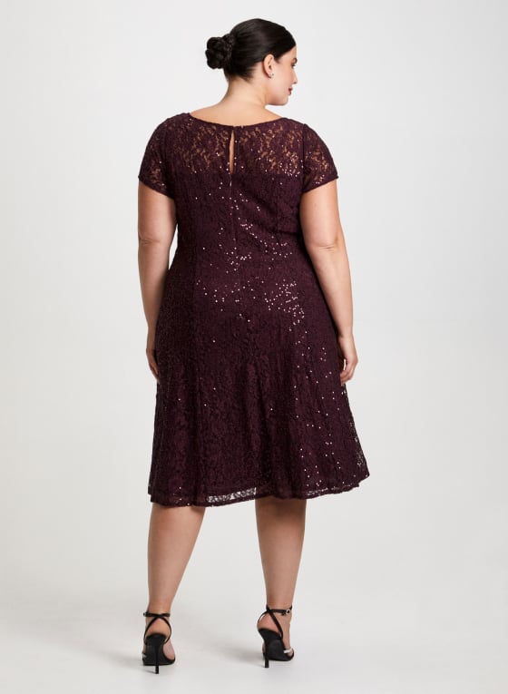 Sequin Embellished Lace Dress