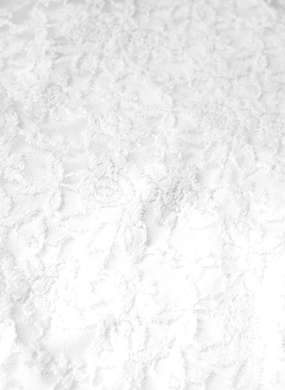 Long Sleeve Lace Top