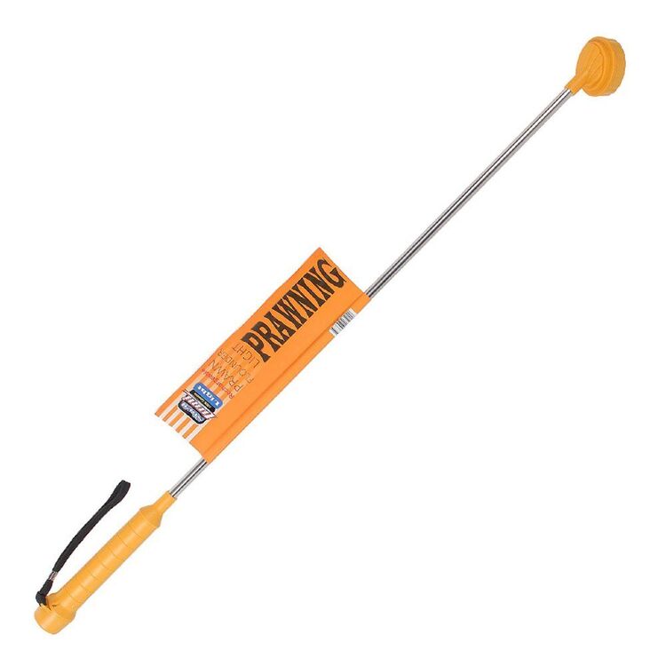 Shell Lumi Prawn Light Orange