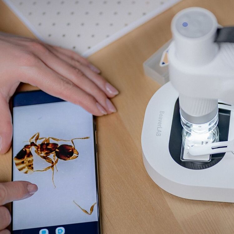BEAVERLAB Smart Digital Microscope Kit White