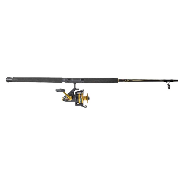 Penn 650SSM 702GP Snapper Combo