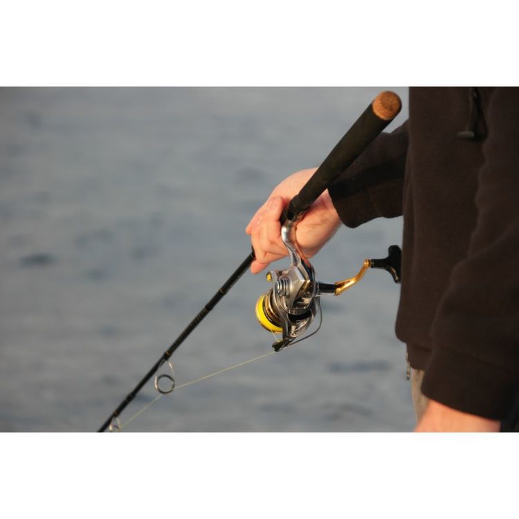 Shimano Sedona XT 7'6" 3pc 2-4kg 2500 Spin Combo