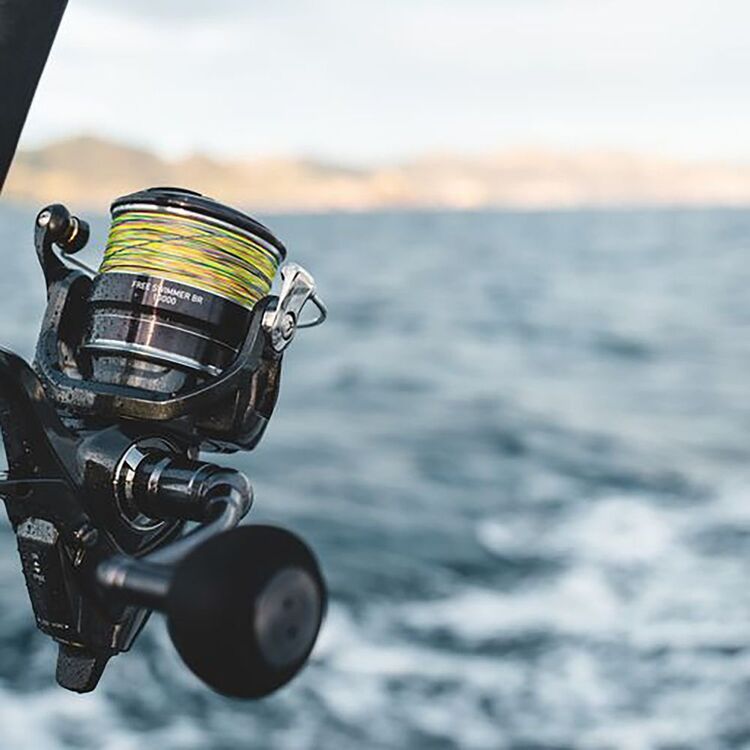 Daiwa Free Swimmer BR 8000 Spinning Reel