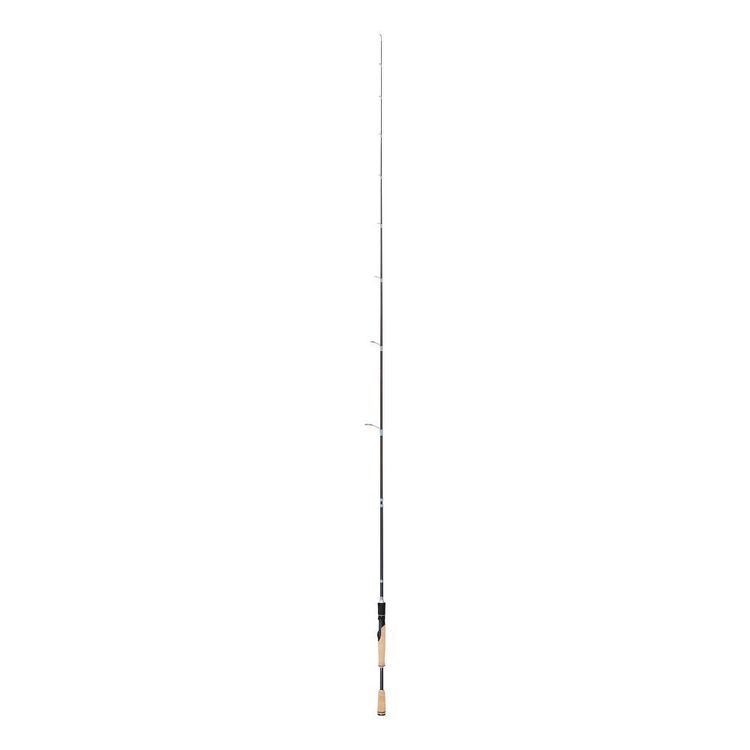 Shimano Tcurve 9ft 2pc Spin Rod 5-8kg