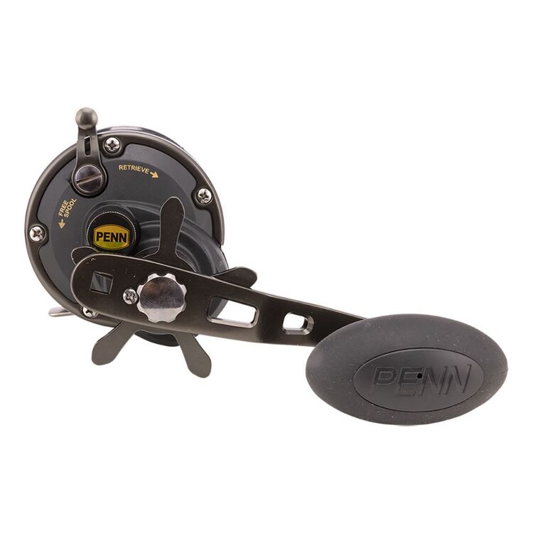 Penn Squall II Level Wind Overhead SQL20LW Reel Multicoloured
