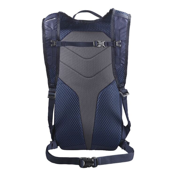 Salomon Trailblazer Daypack 10L Surf The Web & Black Iris 10 L