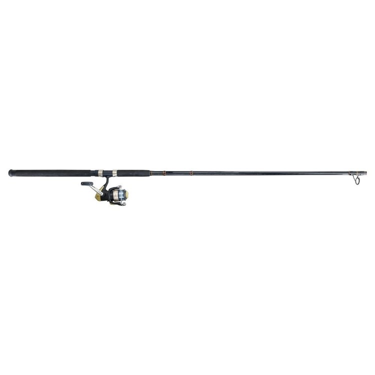 Shimano Eclipse 12' 6000 Surf Combo