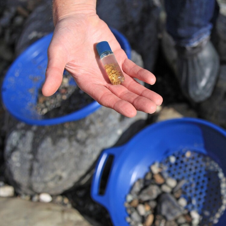 Minelab Pro-Gold Kit