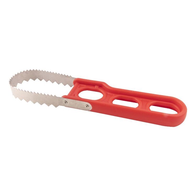 Berkley Essentials Fish Scaler Multicoloured
