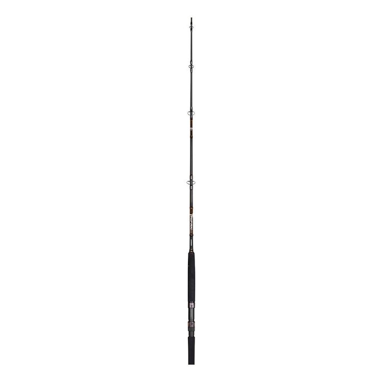 Shimano Taipan 1203 Surf Rod