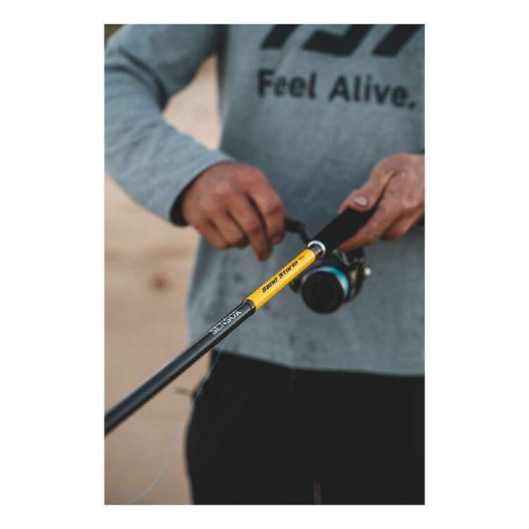 Daiwa Sensor Sandstorm 12' 2pc 6-12kg Surf Rod
