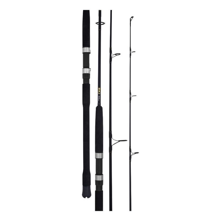 Daiwa BG Bluewater 9'6" 2pc PE3-5 Spin Rod