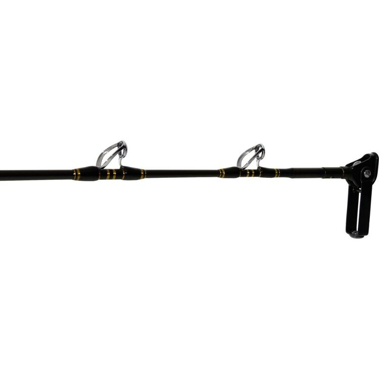 Shimano Speedmaster 2 piece PE8-10 Overhead Rod