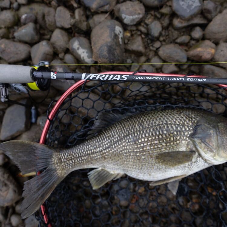 Abu Garcia Veritas 7ft 3 Piece Ultra Light 1-4kg Tournament Travel Spinning Rod Multicolour 7Ft Ul/1-4Kg