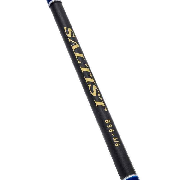 Daiwa 23 Saltist 5'6" 1pc PE4-6 Spin Rod