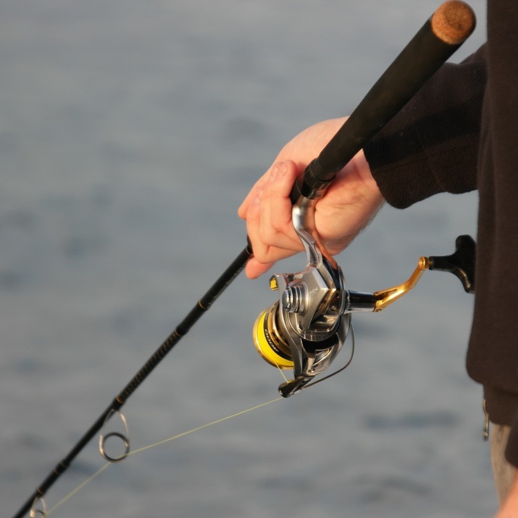 Shimano Sedona XT 12' 3pc 6-10kg Surf Rod