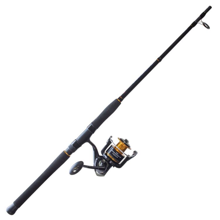 Penn Warhorse II 6'6" 2pc 3-6kg 4500 Spin Combo