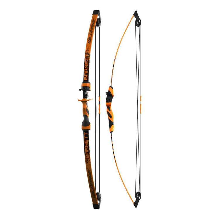 Barnett Wildhawk Compound Archery Set