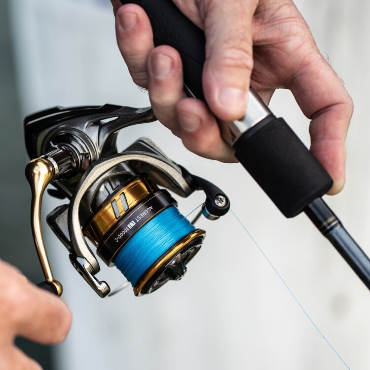 Daiwa Aggrest LT 6'6" 2pc 2-4kg 2500 Spin Combo