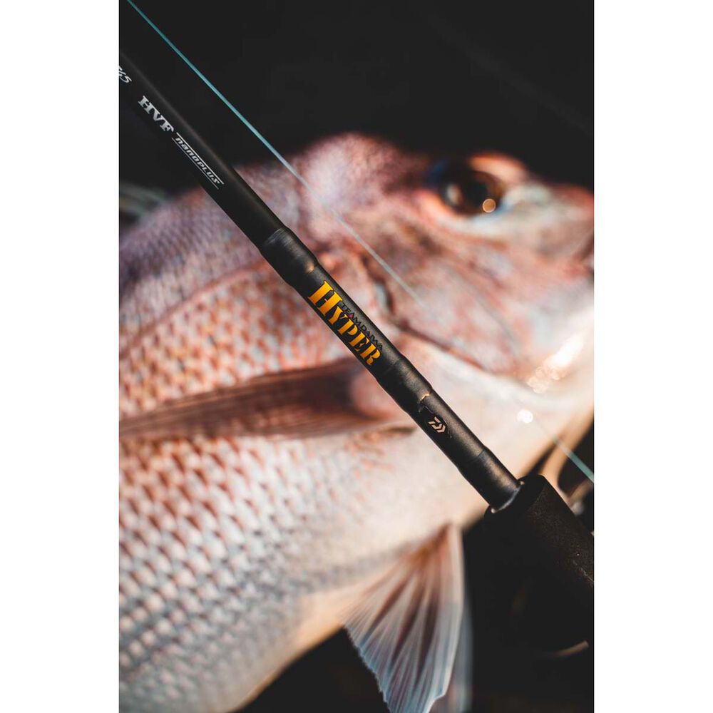 Daiwa 23 TD Hyper Spinning Rod