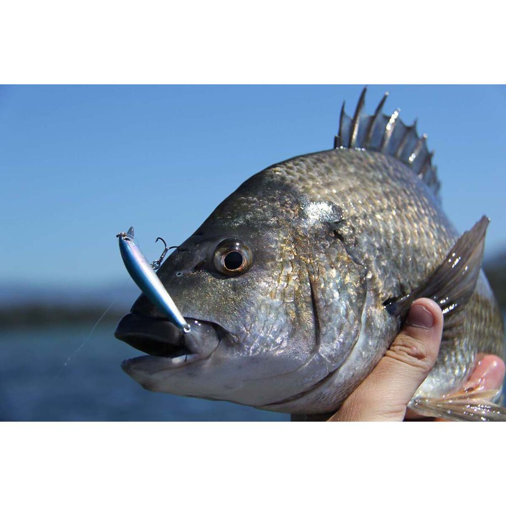 Smith Panish Floating Hard Body Lure 70mm