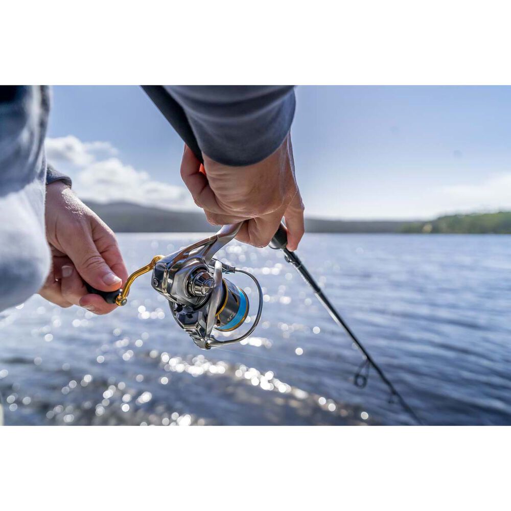 Daiwa Freams LT Spinning Reel 6000D-H