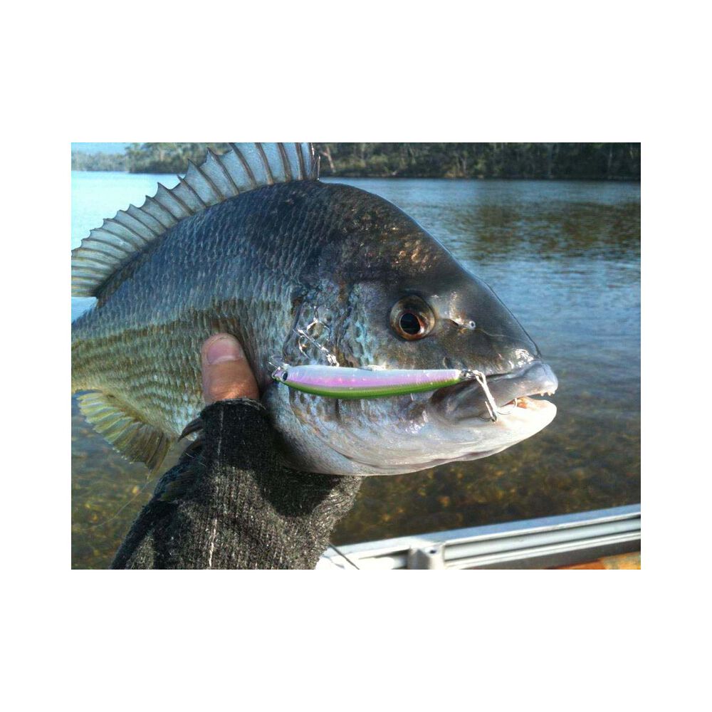 Smith Panish Floating Hard Body Lure 70mm