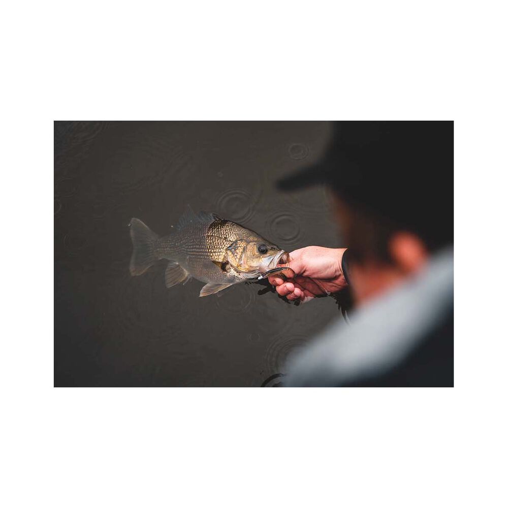 Daiwa Bait Junkie 2X Jig Heads