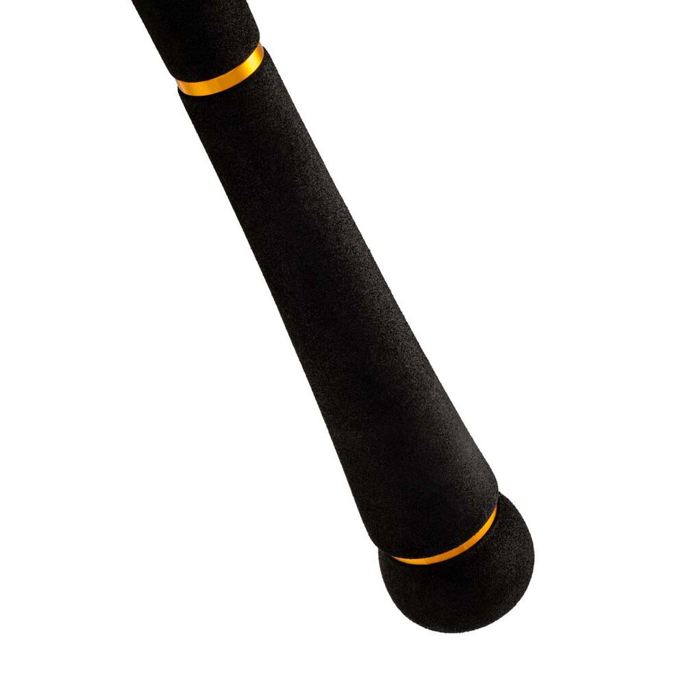 Daiwa Seabass Surf Rod