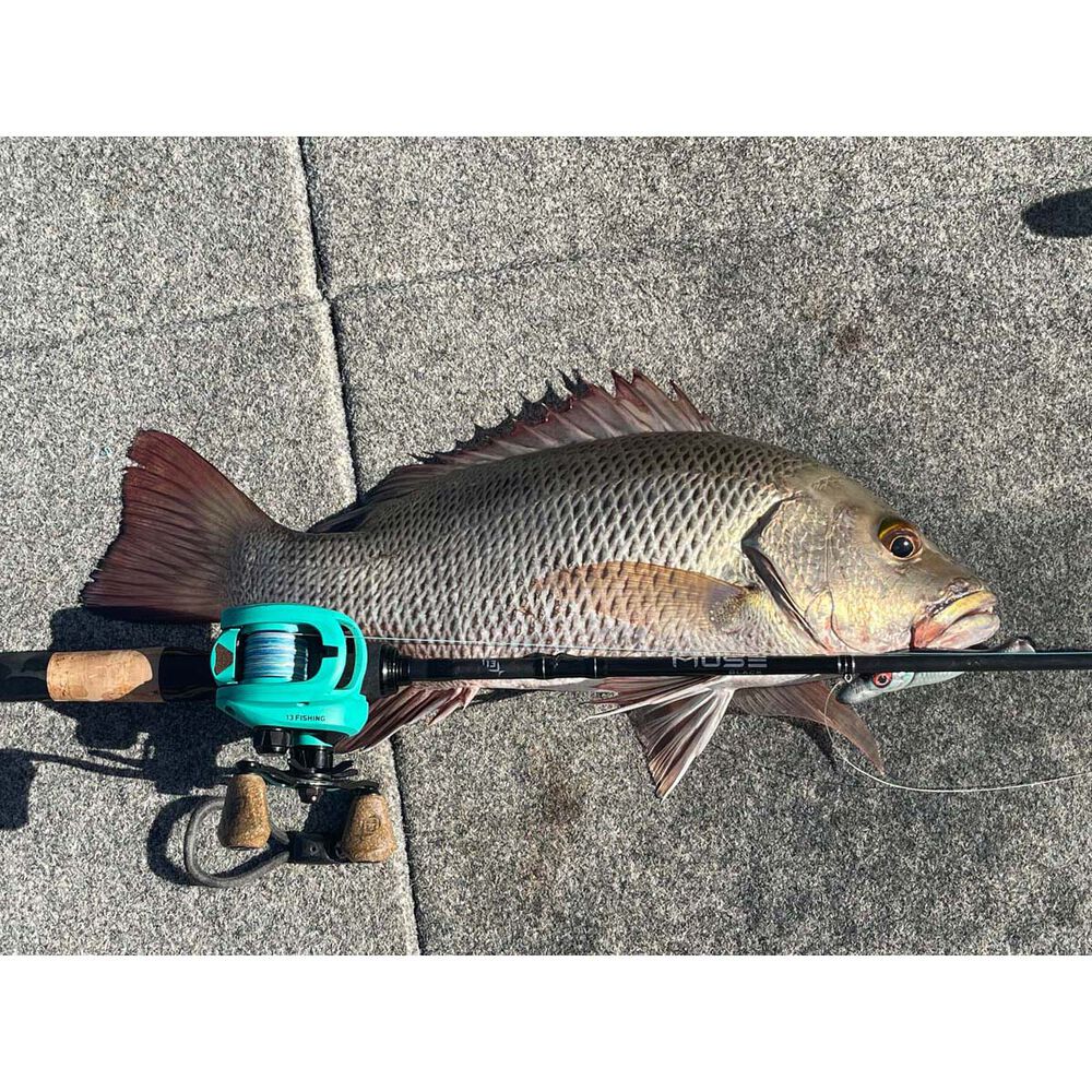 13 Fishing Concept TX Gen II 6.8 1 Baitcaster Reel